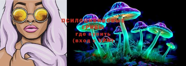 PSILOCYBIN Абинск