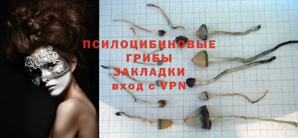 не бодяженный Абаза
