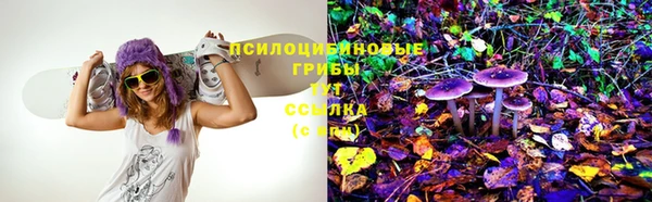 первитин Алексеевка